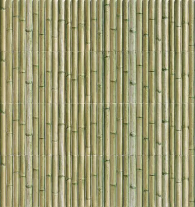 BAMBOO GREEN 15X30