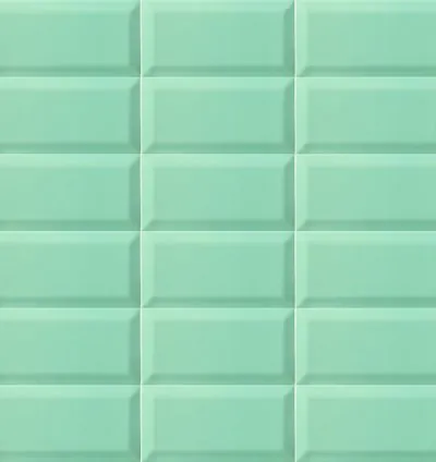 BISSEL EMERALD 10X20