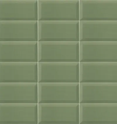 BISSEL GREEN OLIVE 10X20