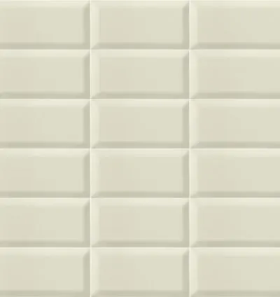 BISSEL GRIS PLATA 10X20