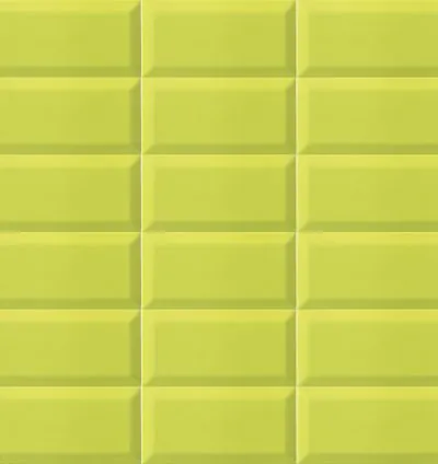 BISSEL Y-GREEN 10X20