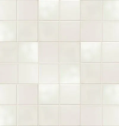 CHROMA DIX MATE 20x20