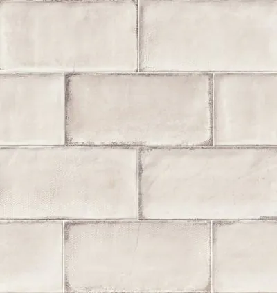 ESENZIA BLANCO 15X30