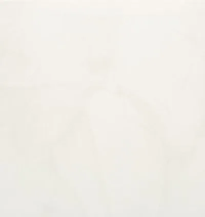 Ice Midday 60x60 8.5mm Rec. (1.43m²)