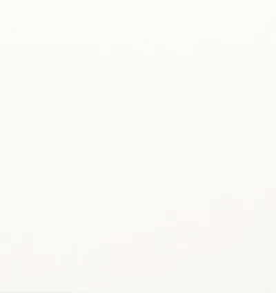 Ice Plain White Matt 30x90 12mm Rec. (0.8m²)