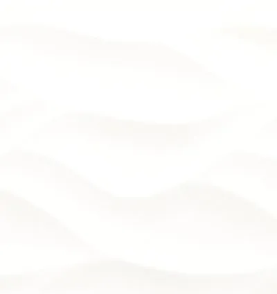 More Natur Matt 30x90 12mm Rec. (0.8m²)