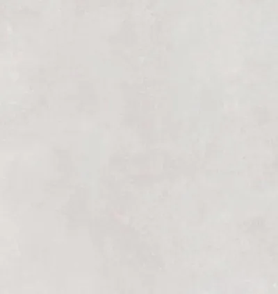 Bonn Gris 60x120 Rec. (1.44m²)