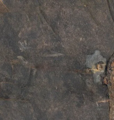 Ardesia Antislip Natural 32x62.5 (1.00m²)