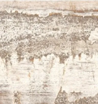 Origen Miel 20.2x66.2 (1.20m²)