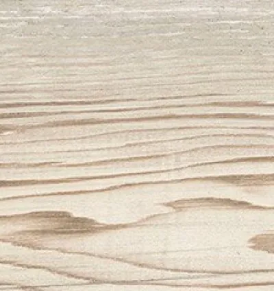 Village Miel 20.2x66.2 (1.20m²)